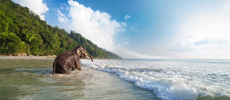 Andaman-ParaDise-IdhikaHolidays